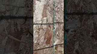 Why you gap all plywood sheets! Fundamentals! #builder #contractor #framing #tips