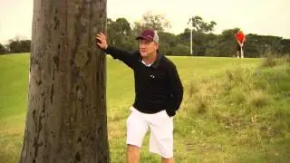 Golf Getaway at Victoria Golf Club - Jack Nicklaus' tree