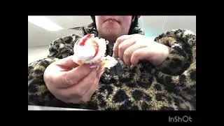 Freshness Guaranteed Strawberry Shortcake Mini Cupcakes review