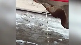 Thieves drilling holes in gas tanks