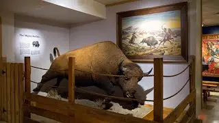 Buffalo Bill and the Wild West (Part 2) (Lookout Mountain, CO)