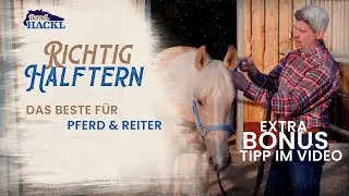 Halfter richtig anlegen I Bernd Hackl erkl&auml;rt! 🐴