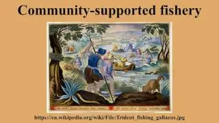 Community-supported fishery