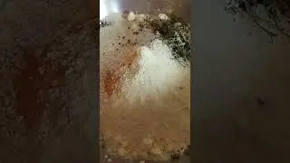 #onionfritters#pyazkepakode#snacksrecipe#friedfoodrecipes#viralshort#youtubeshortvideo2025 #food
