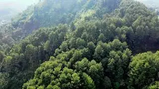 Free nature background video effects hd- No Copyright