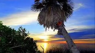 Algeria Travel : Canastel Forest (Oran)