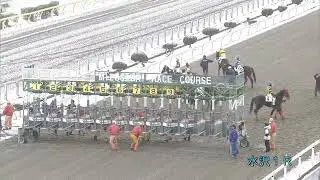 【ゲートが開かない】2023/01/02 水沢1R  3歳C1二組