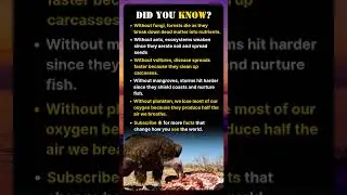 What If These Animals Disappeared? | Wildlife Facts That Will Shock You 😱
