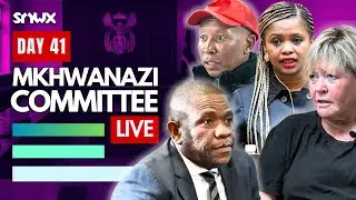 Mkhwanazi Ad Hoc hears evidence from 4 witnesses
