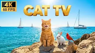 Cat TV 8 Hours - Mediterranean Sea: White Bunny, Red Bird & Yachts