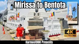 Exploring Madu Ganga River in Bentota 🌴 | Marissa & Benton’s Sri Lanka Vlog - Crocodile Adventure :D
