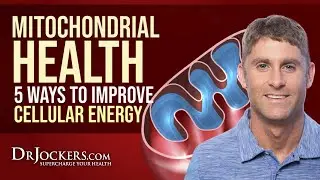 Mitochondrial Health:  5 Ways to Improve Cellular Energy