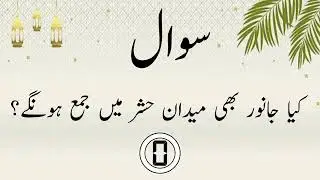 Jannat Quiz l islamicquiz l gk l Quiz in urdu l islamic question l urdu paheliyaan #islamicquiz