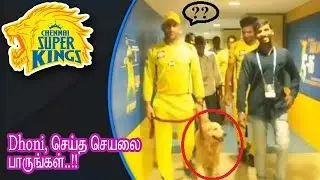Dhoni Enjoying With His Pet DOG..!! || IPL 2018 || CSK DHONI The BOSS..!!