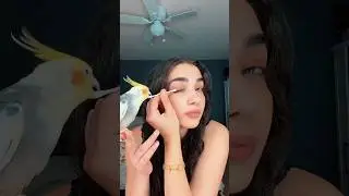 My bird is sick&hellip;🥺 #bird #sick