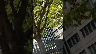 #BRCR11 IMOVEL DA RUA VERBO DIVINO *VIDEO COMPLETO NO CANAL  #fundoimobili&aacute;rio  #fundosimobiliarios