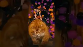Giant Orange Cat DESTROYS Halloween Town in his path! 🎃😹💥 #shorts #cat #catvideos #halloween #funny