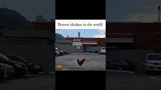 Best escape artist 😂🥴🍗🐓 #funny #chicken #funnyanimal #funnyshorts #shorts #fyp #viral #memes