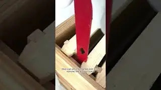 BeeCastle L-hook and J-hook introduction. The essential tools for beekeeping.