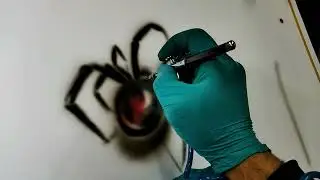 Painting airbrush Spider (drawing is simple)