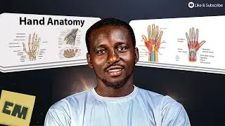 HAND ANATOMY #handanatomy | Made Easy | #medicalstudent | #anatomy