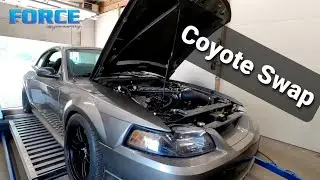 Ford Mustang Cobra | Coyote Swap! | SN95 New edge | Dyno Review
