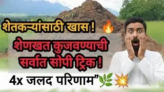 शेणखत कसे कुजवावे|शेणखत कुजवणे झाले सोपे|shenkhat kaise taiyar karave| # zytonic godhan #zytonic  