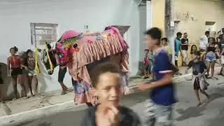boi boiola no são Geraldo