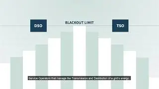 Prosume's services: Grid Balancing