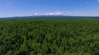China builds more than 6.13m hectares of national reserve forests over past decade