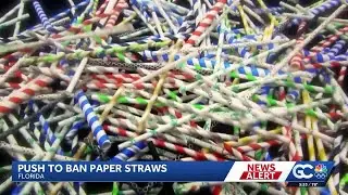 New Florida bill would ban paper straws by 2027