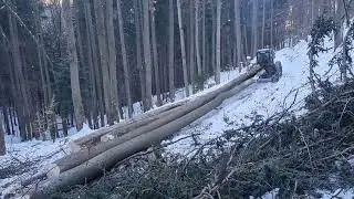 lkt 80 druhy porast koli pokazenej lanovke 🙈🪵 tahanie na1.5km cez zakruty 🚜🚜 #stihl 462