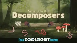 Decomposers | How Dead Matter Breaks Down
