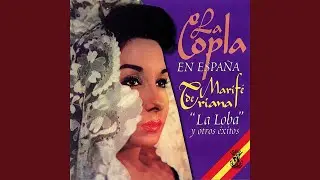 Porque Te Di Yo Mis Besos
