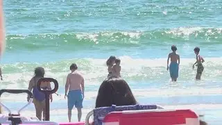 Shark sightings on the rise in Maine, but beachgoers still flocking to the coast