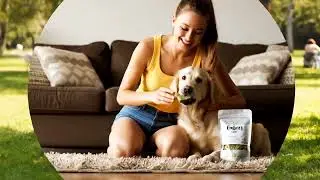 Help Your Pet Feel Their Best Naturally 🐾 | CBD for Dogs & Cats by EmbersCBD