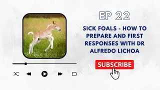 Episode 22 - Sick Foals - How to Prepare and First Responses with Dr Alfredo Lichoa