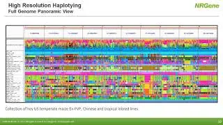 NRGene Webinar: From Genomes to Genetics and Breeding Decisions with GenoMAGIC