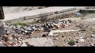 Ruinele nedescoperite ale unui oraș antic