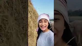 Habibi come to assam.🗿.       #shorts #assam #funny #allassam #habibi #viral #trendingshorts