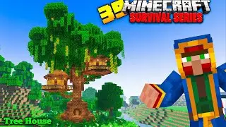 I Built A Giant Tree House In Minecraft Pe 1.20 Survival series