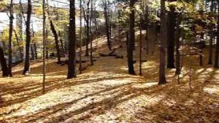 Autumn Scene in Lambton Park