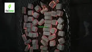 NATURAL COCONUT CHARCOAL FOR HOOKAH SHISHA