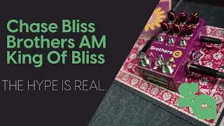 Chase Bliss Brothers AM  : The hype is real