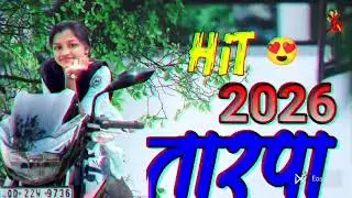 NEW TARPA MUSIC ☘️ TARPA LOOP 2026🕺HIT TARPA LOOP‼️🎹 VIRAL TARPA SONG LOOP💞💯