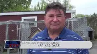 Incidents with stray dogs incites community outrage