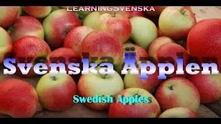 Learning Swedish (Lesson 15) 