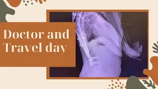 Here&rsquo;s what the doctor said and a little daily vlog