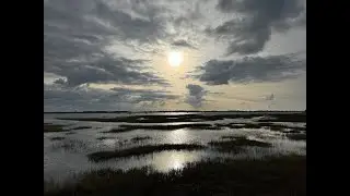 Sussex Border Path Day 1: Emsworth To Rowlands Castle