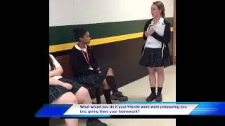 The Debate on Peer Pressure